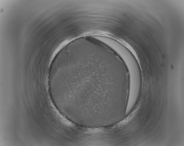 X0000080690997200612301445