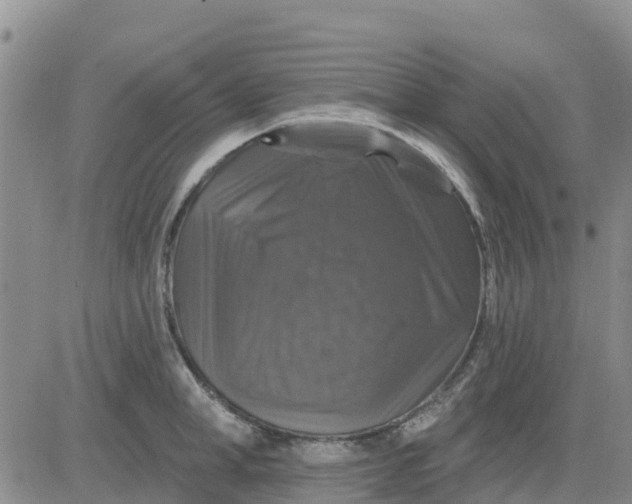 X0000080690998200612301445