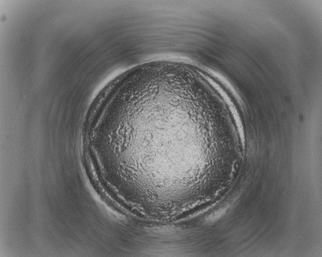 X0000080690999200612301445