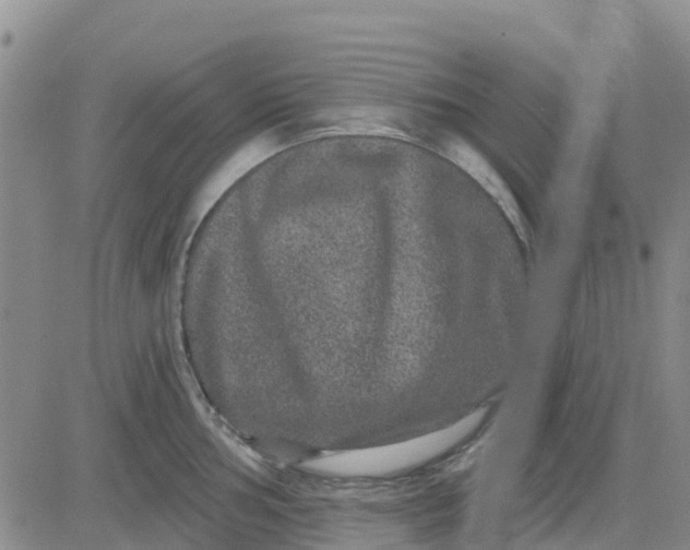 X0000080691002200612301445