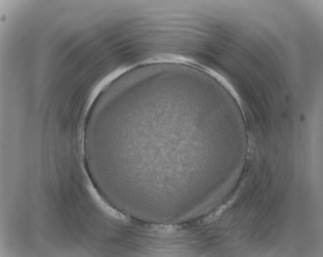 X0000080691003200612301445