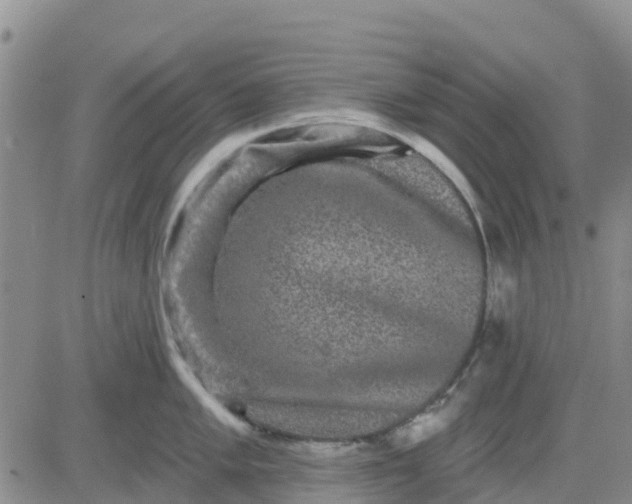 X0000080691005200612301445