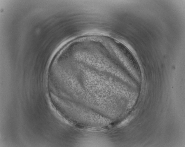 X0000080691008200612301445