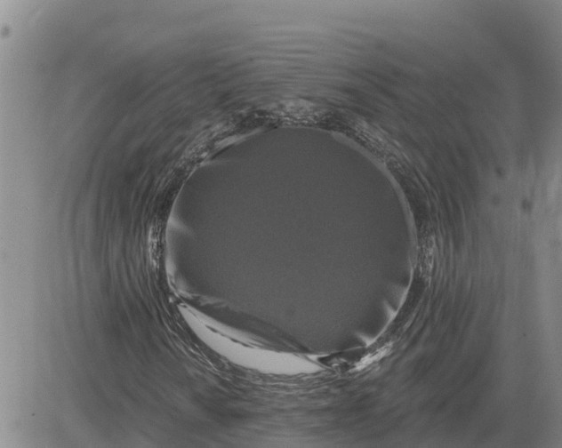 X0000080691010200612301444