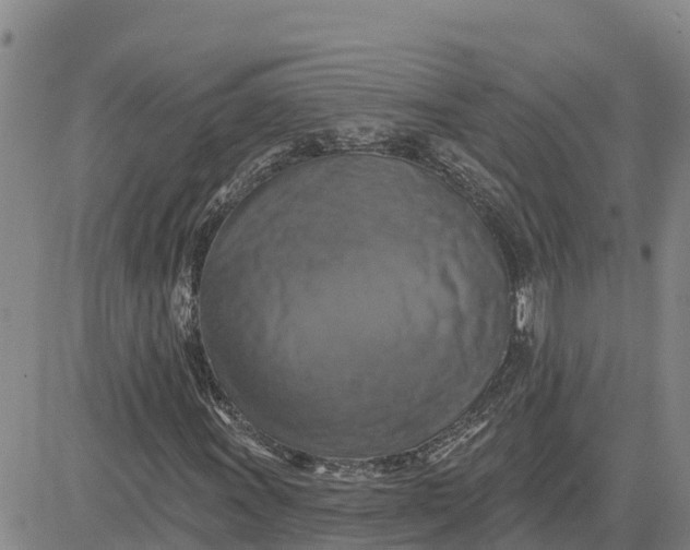 X0000080691011200612301444