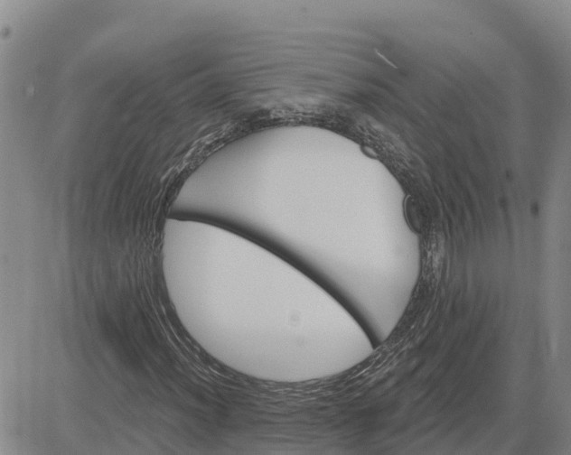 X0000080691012200612301444