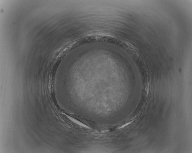 X0000080691014200612301444