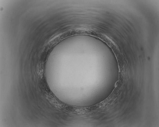 X0000080691015200612301444