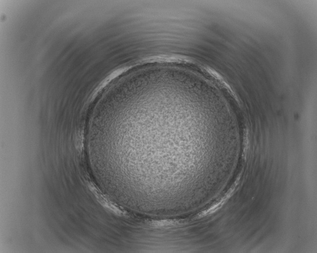 X0000080691017200612301444