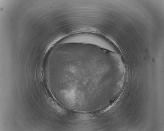 X0000080691018200612301444