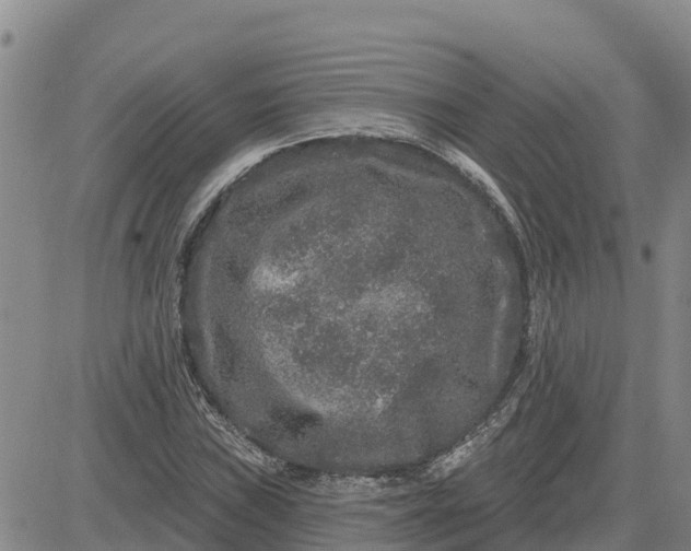 X0000080691019200612301444