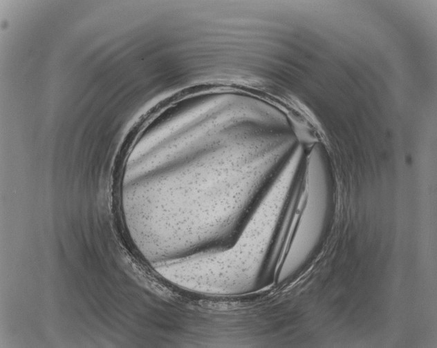 X0000080691020200612301444