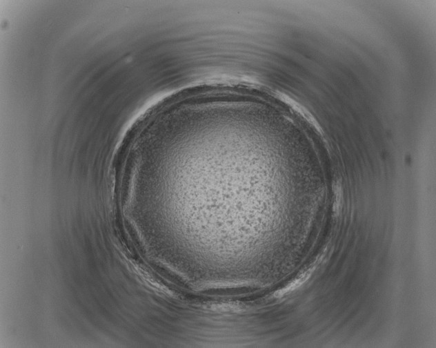 X0000080691021200612301444