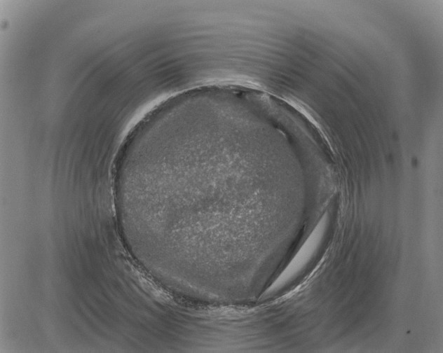 X0000080691022200612301444