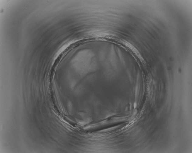 X0000080691023200612301444