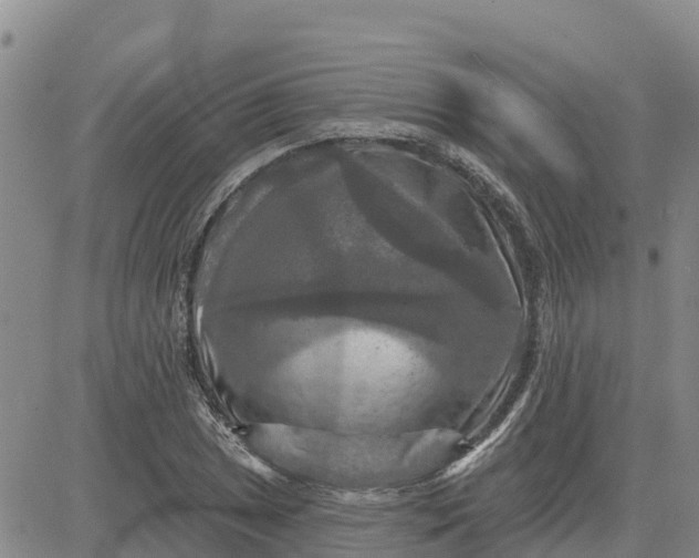 X0000080691025200612301444