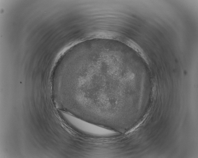 X0000080691027200612301444