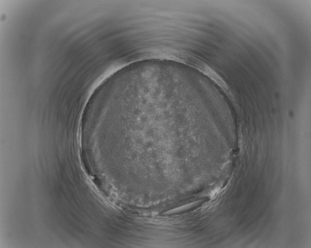 X0000080691028200612301444