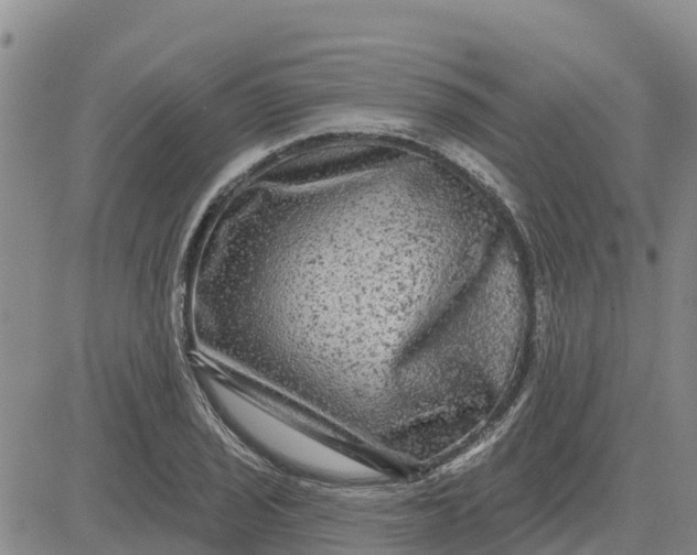 X0000080691029200612301444