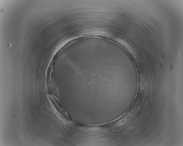 X0000080691031200612301444