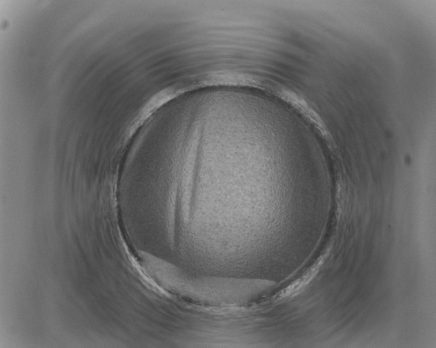 X0000080691033200612301444