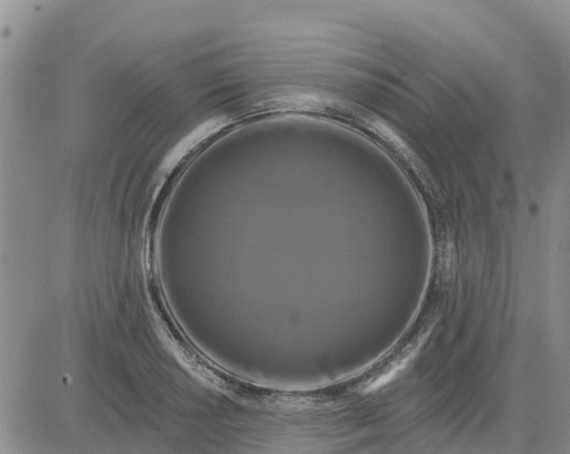 X0000080691034200612301444