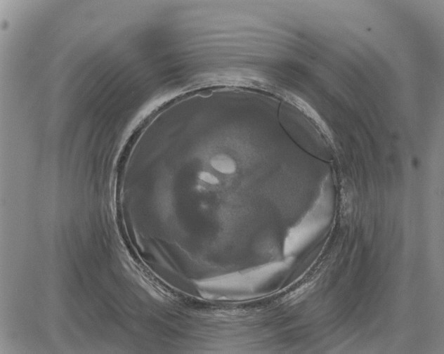 X0000080691035200612301444