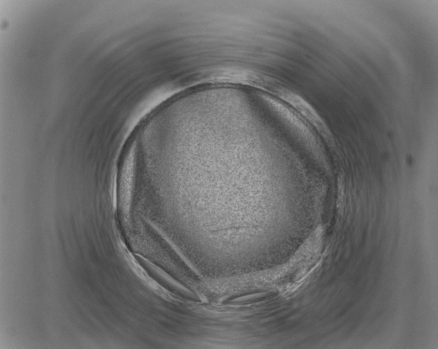 X0000080691036200612301444