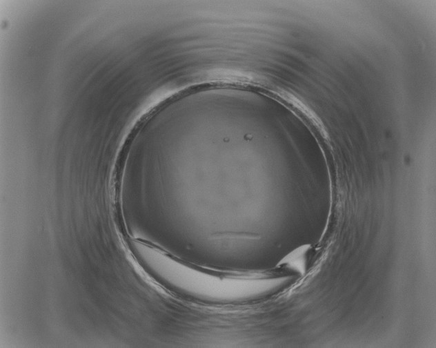 X0000080691037200612301444