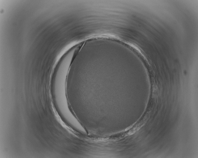 X0000080691038200612301444