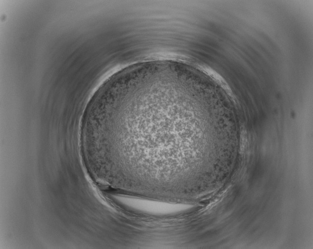 X0000080691039200612301444