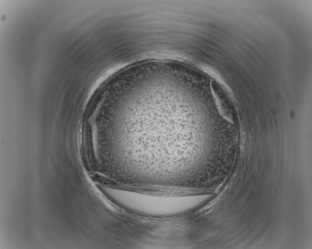 X0000080691040200612301444