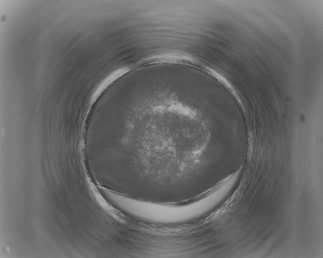 X0000080691042200612301444