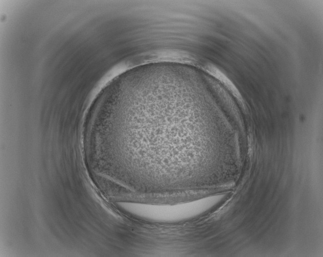 X0000080691043200612301444