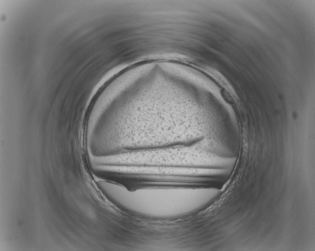 X0000080691044200612301444