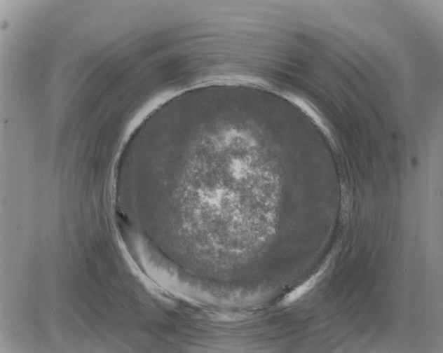 X0000080691046200612301444