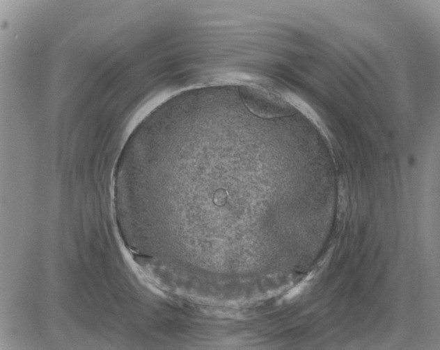 X0000080691047200612301444