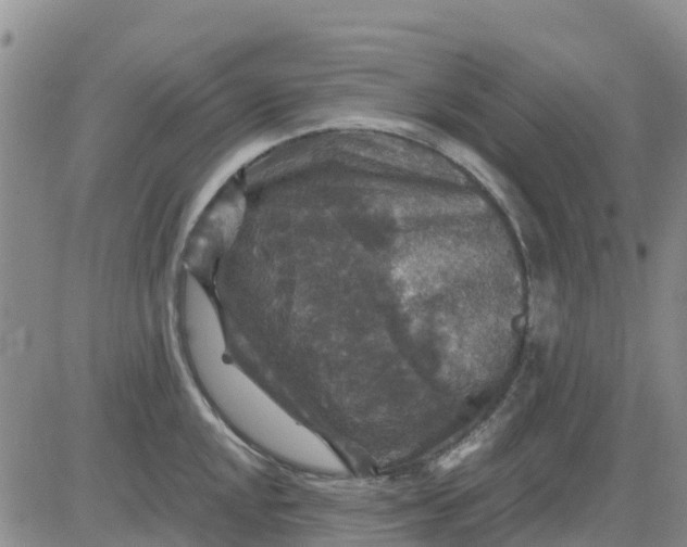 X0000080691048200612301444