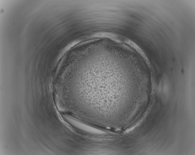 X0000080691049200612301444