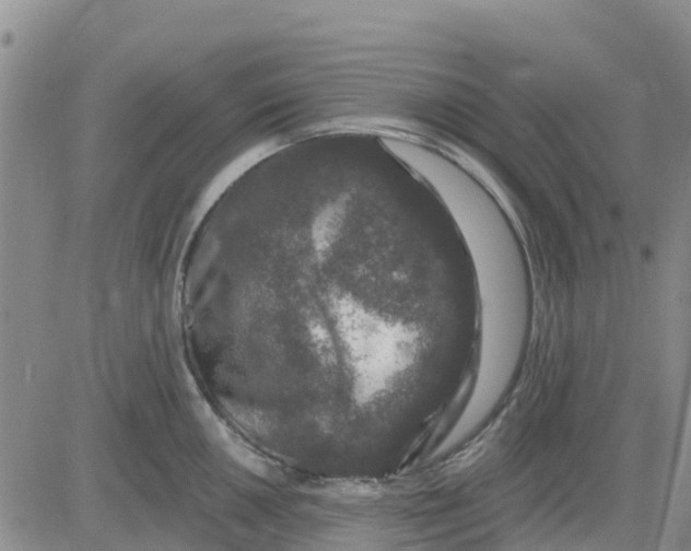 X0000080691050200612301445