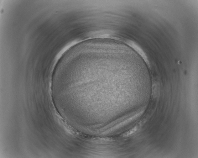 X0000080691051200612301445