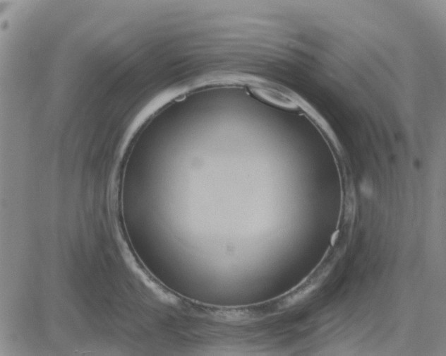 X0000080691053200612301445