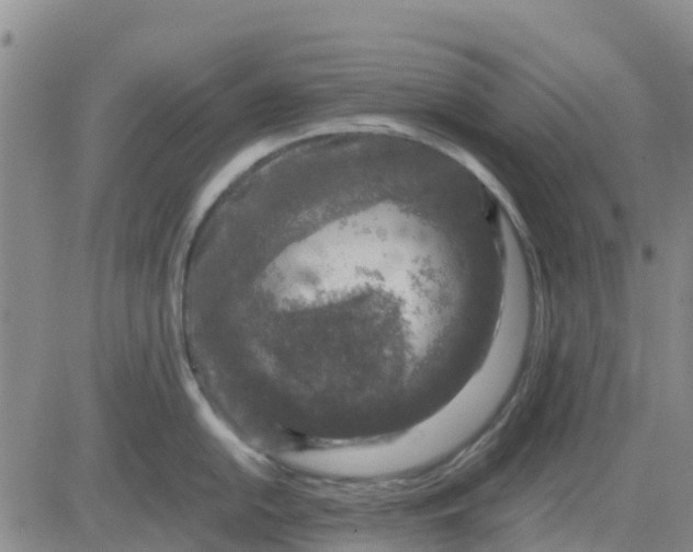 X0000080691054200612301445