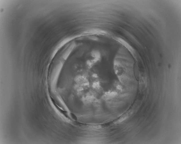 X0000080691055200612301445