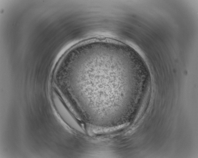 X0000080691056200612301445