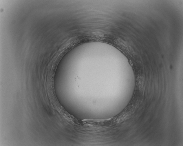 X0000080691057200612301444