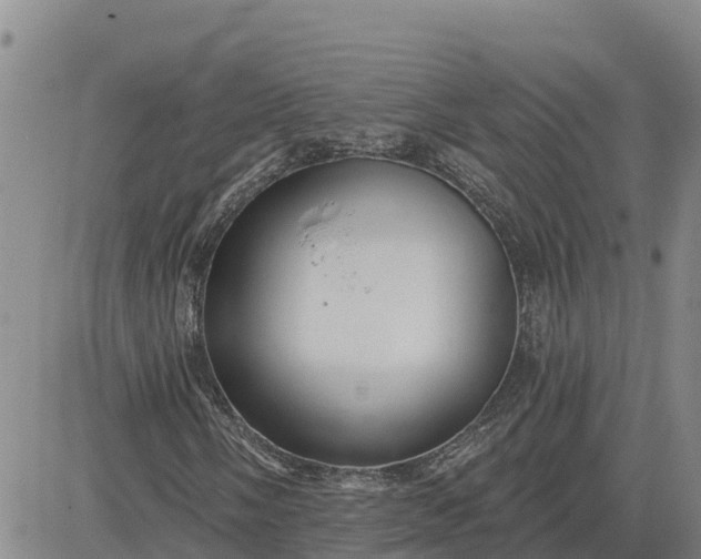 X0000080691058200612301444