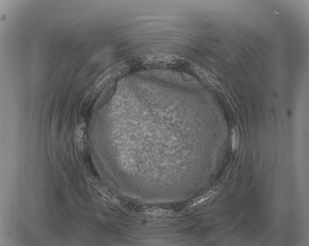 X0000080691059200612301444