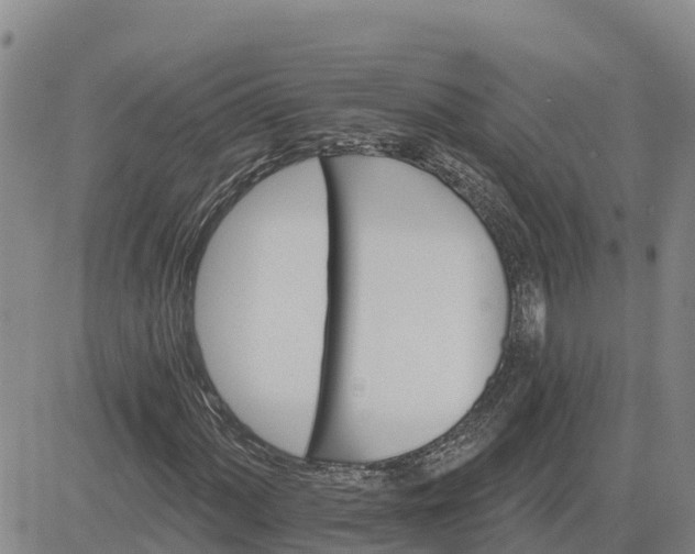 X0000080691060200612301444