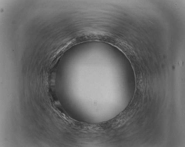 X0000080691061200612301444